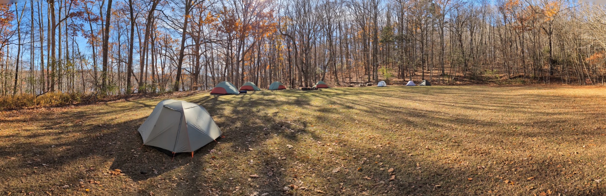 Troop tents set up in a wooded campsite in autumn.